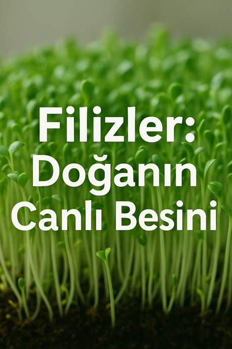 Filizler: Doğanın Canlı Besini