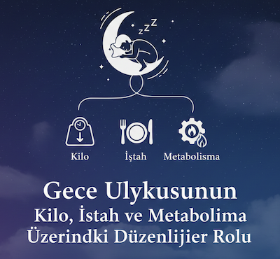 Gece Uykusunun Kilo, İştah ve Metabolizma Üzerindeki Düzenleyici Rolu