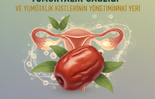 Hünnap (Ziziphus jujuba)’ın Yumurtalık Sağlığı ve Yumurtalık Kistlerinin Yönetimindeki Yeri  Geleneksel Tıp Yaklaşımı ve Güncel Araştırmalar Işığında