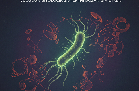 Helicobacter pylori: Vücudun biyolojik sistemini bozan bir etken