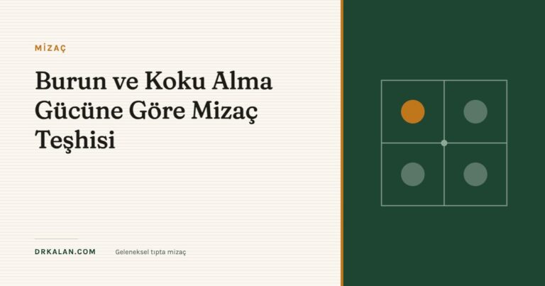 Burun ve Koku Alma Gücüne Göre Mizaç Teşhisi