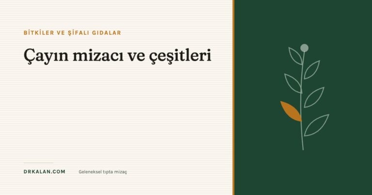 Çayın mizacı ve çeşitleri 
