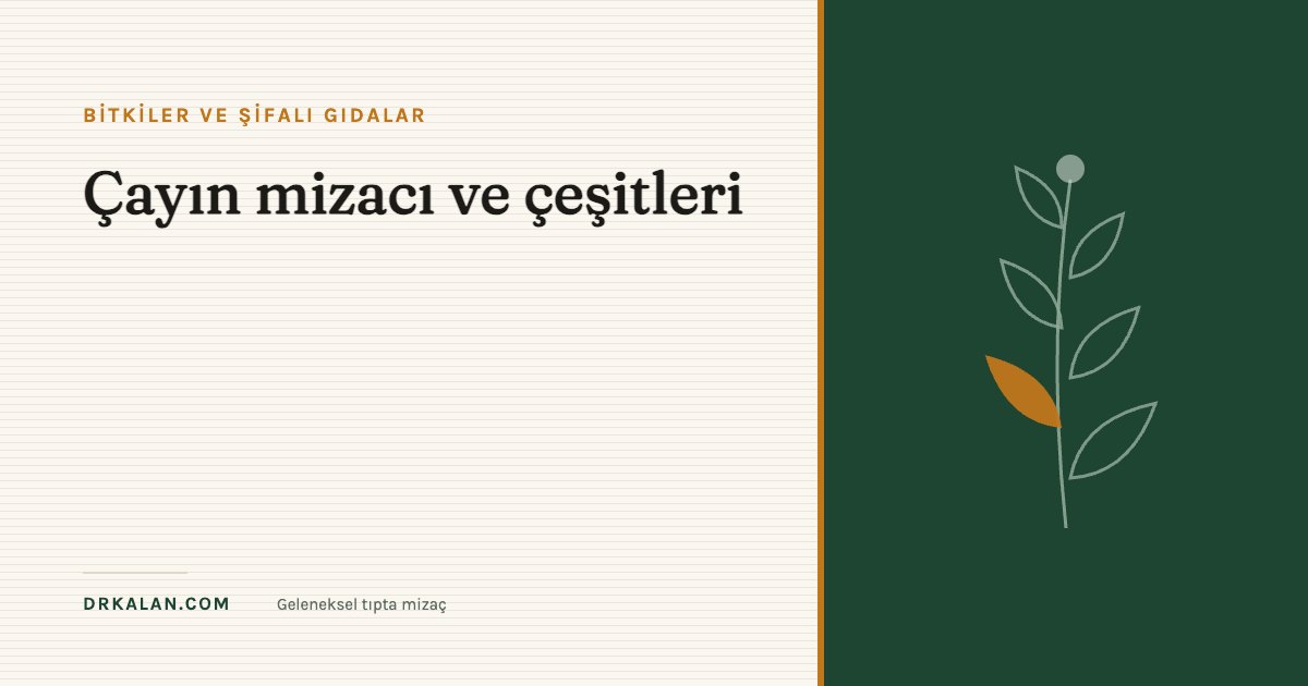 Çayın mizacı ve çeşitleri 