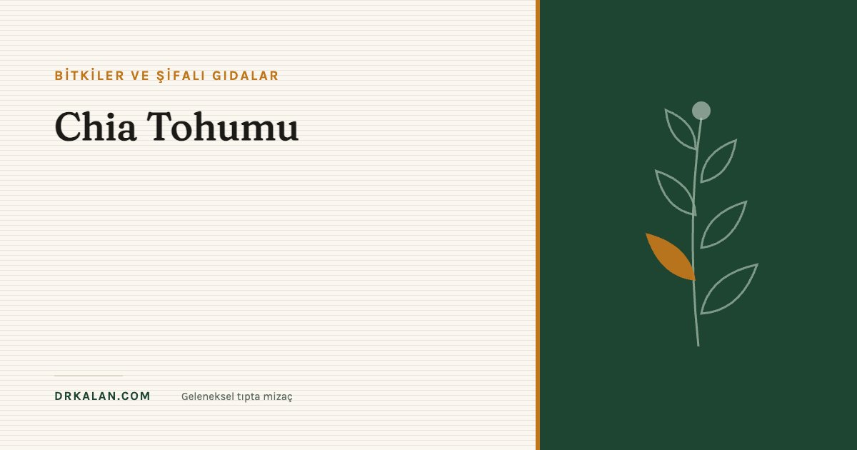Chia Tohumu