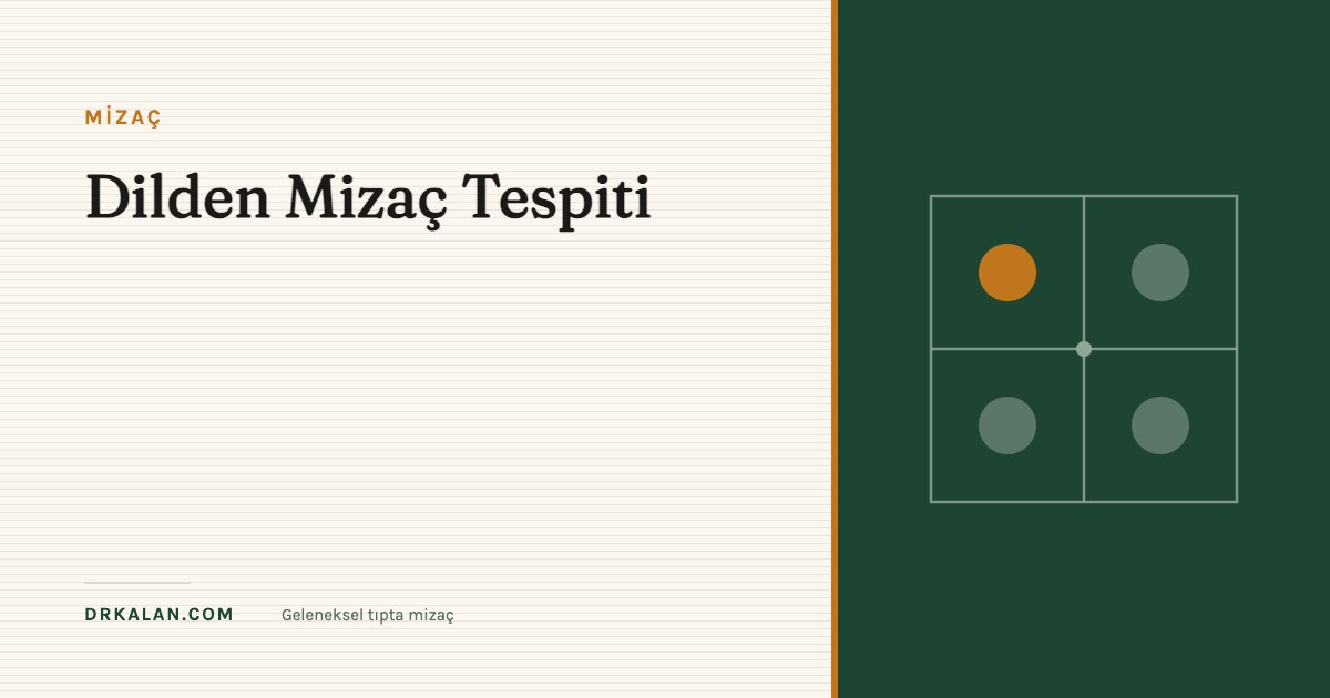 Dilden Mizaç Tespiti