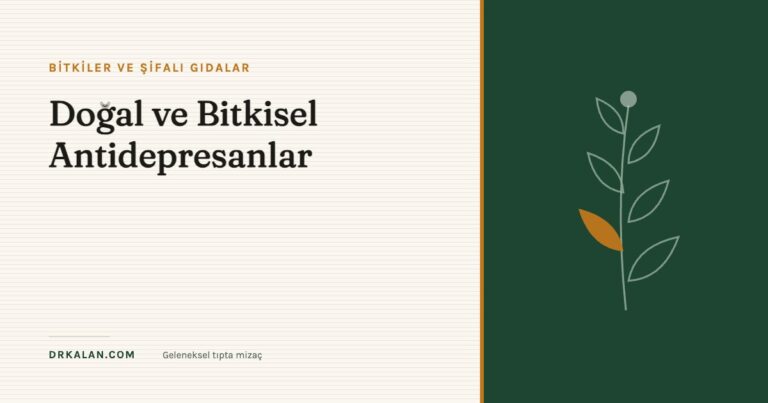 Doğal ve Bitkisel Antidepresanlar