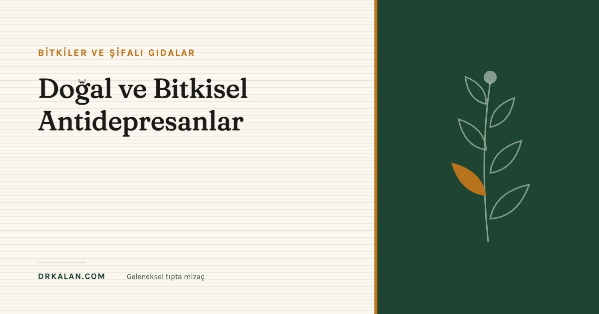 Doğal ve Bitkisel Antidepresanlar