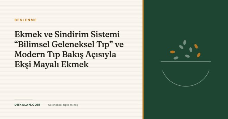 Ekmek ve Sindirim Sistemi “Bilimsel Geleneksel Tıp” ve Modern Tıp Bakış Açısıyla Ekşi Mayalı Ekmek