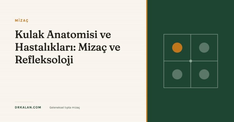 Kulak Anatomisi ve Hastalıkları: Mizaç ve Refleksoloji