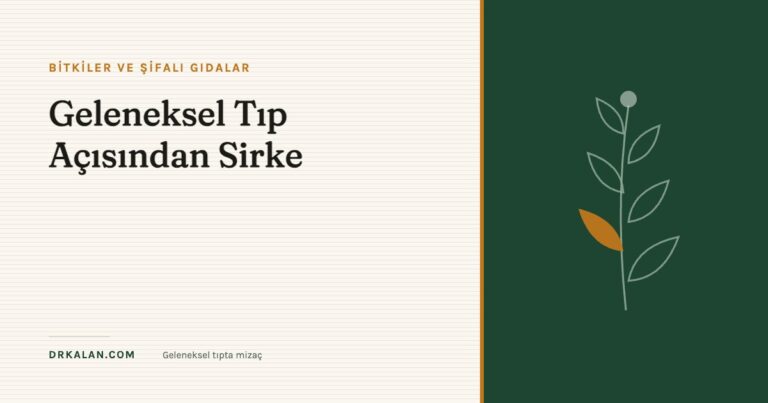 Geleneksel Tıp Açısından Sirke