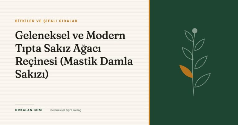Geleneksel ve Modern Tıpta Sakız Ağacı Reçinesi (Mastik Damla Sakızı)