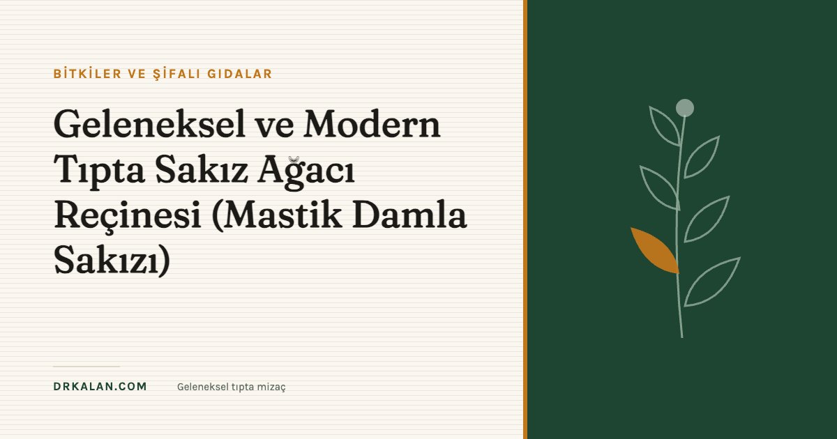 Geleneksel ve Modern Tıpta Sakız Ağacı Reçinesi (Mastik Damla Sakızı)