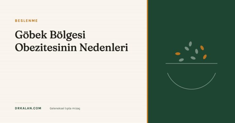 Göbek Bölgesi Obezitesinin Nedenleri