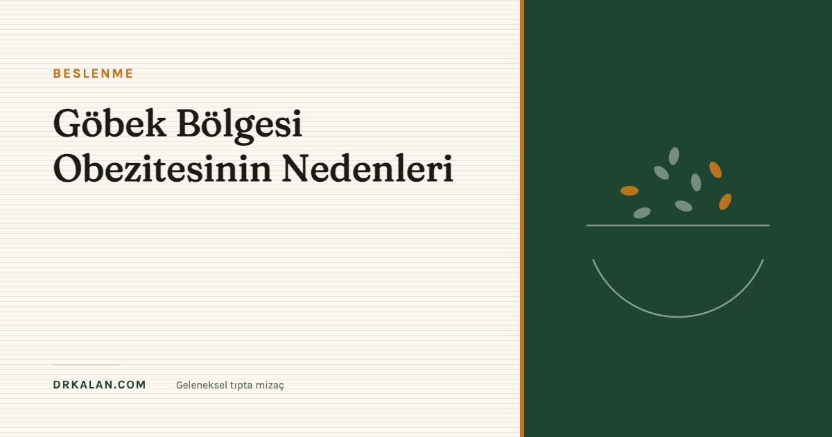 Göbek Bölgesi Obezitesinin Nedenleri 