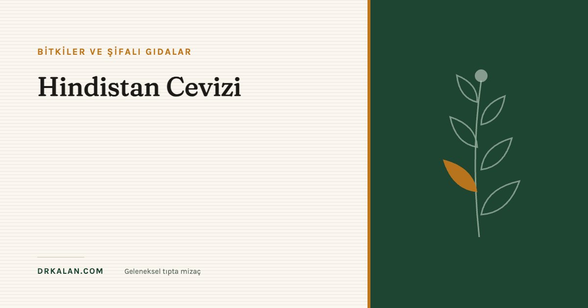 Hindistan Cevizi