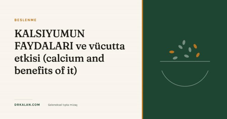 KALSIYUMUN FAYDALARI ve vücutta etkisi (calcium and benefits of it)