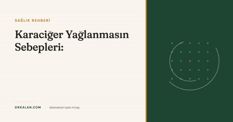 Karaciğer Yağlanmasın Sebepleri: