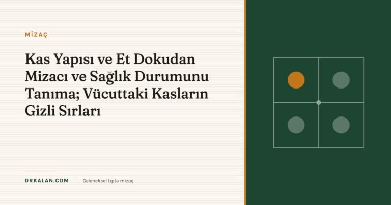 Kas Yapısı ve Et Dokudan Mizacı ve Sağlık Durumunu Tanıma; Vücuttaki Kasların Gizli Sırları