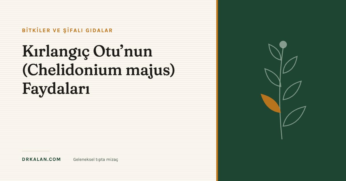 Kırlangıç Otu’nun (Chelidonium majus) Faydaları