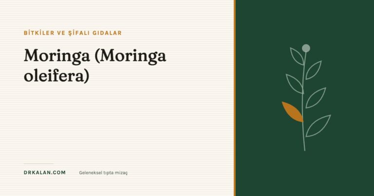 Moringa (Moringa oleifera)