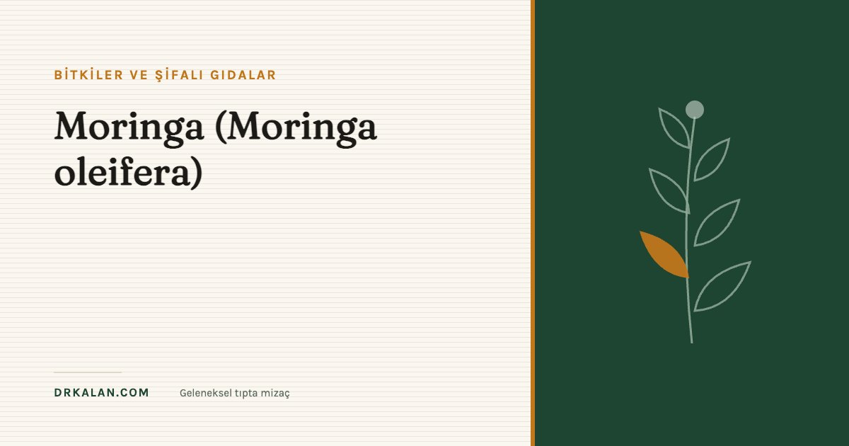 Moringa (Moringa oleifera)