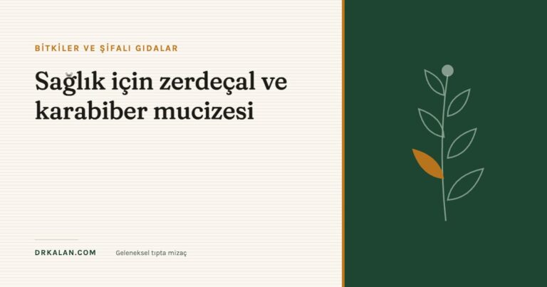 Sağlık için zerdeçal ve karabiber mucizesi