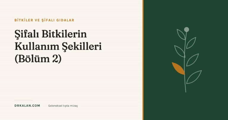 Şifalı Bitkilerin Kullanım Şekilleri (Bölüm 2)