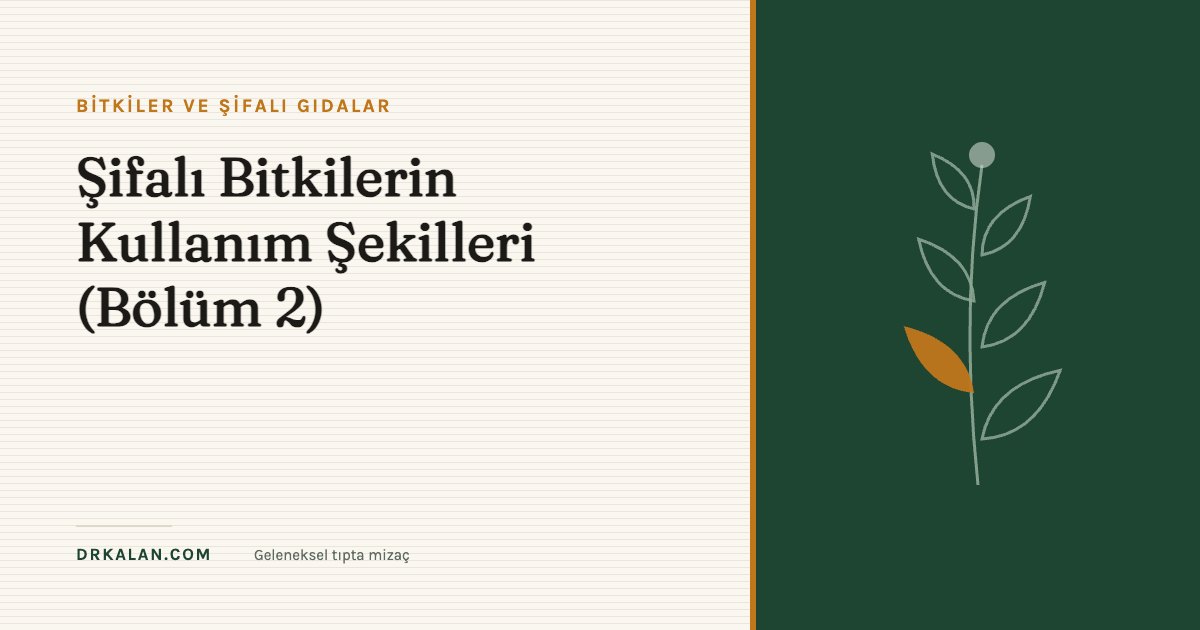 Şifalı Bitkilerin Kullanım Şekilleri (Bölüm 2)