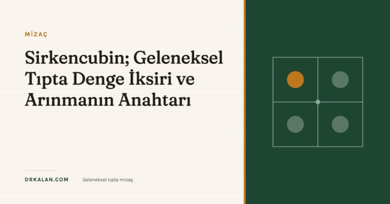 Sirkencubin; Geleneksel Tıpta Denge İksiri ve Arınmanın Anahtarı