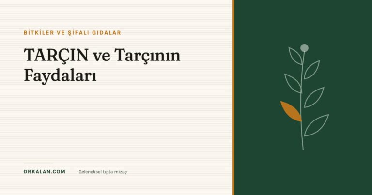 TARÇIN ve Tarçının Faydaları 