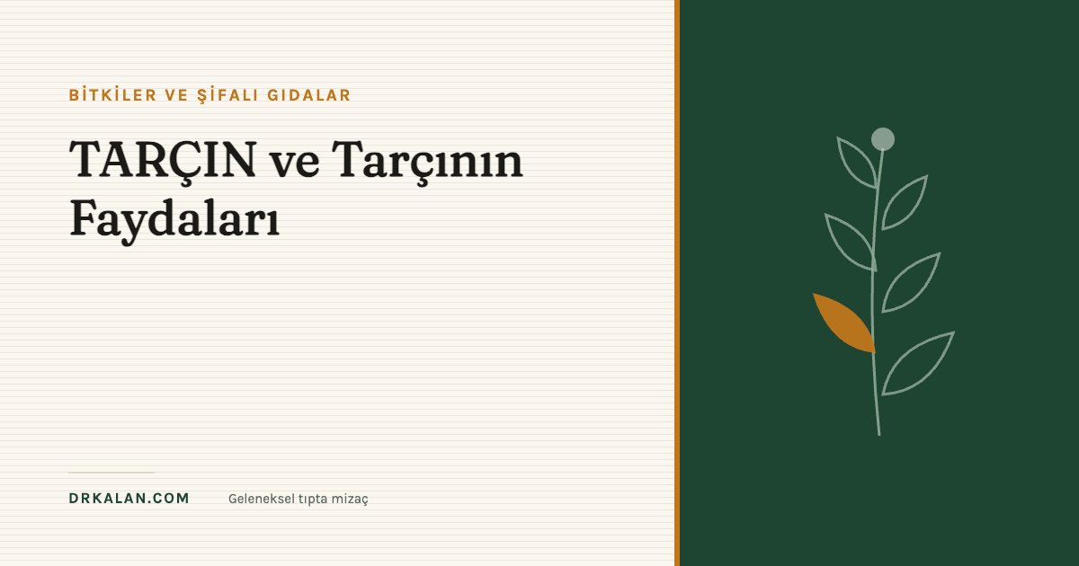 TARÇIN ve Tarçının Faydaları