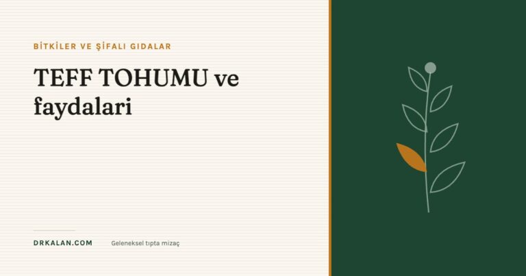 TEFF TOHUMU ve faydalari