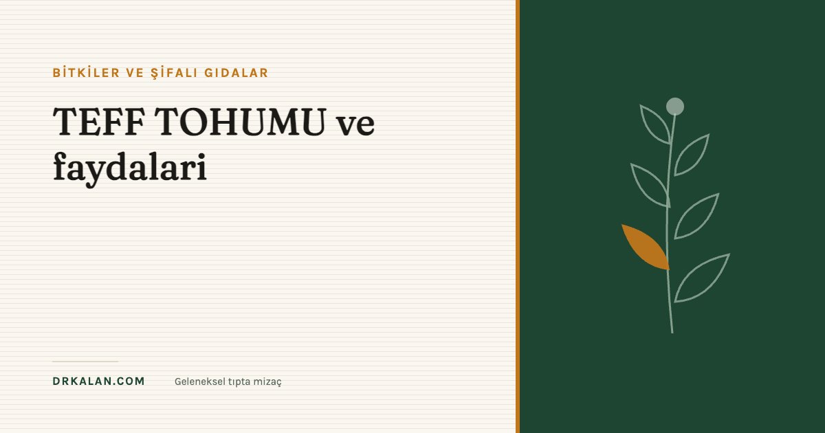 TEFF TOHUMU ve faydalari