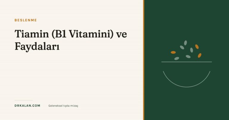 Tiamin (B1 Vitamini) ve Faydaları