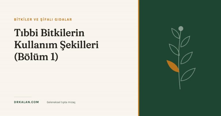 Tıbbi Bitkilerin Kullanım Şekilleri (Bölüm 1)