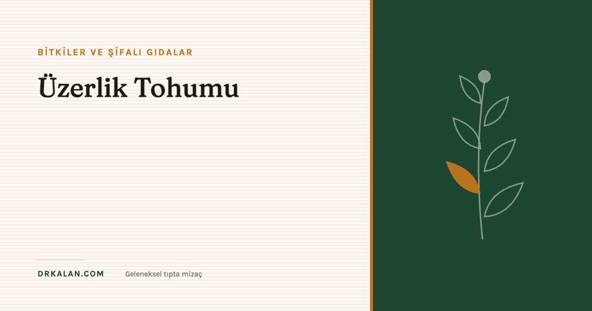 Üzerlik Tohumu