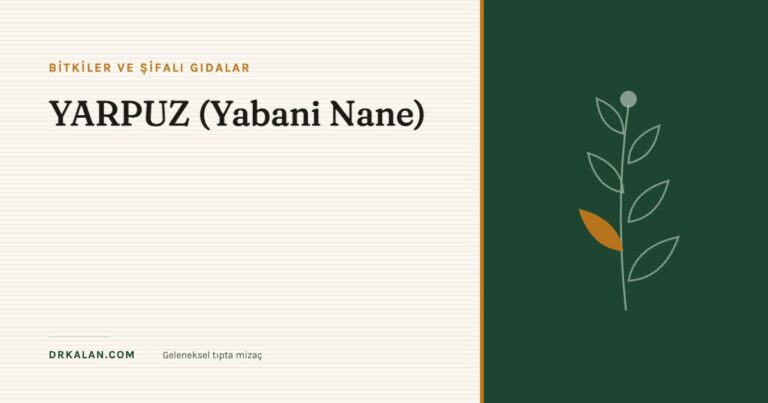 YARPUZ (Yabani Nane)