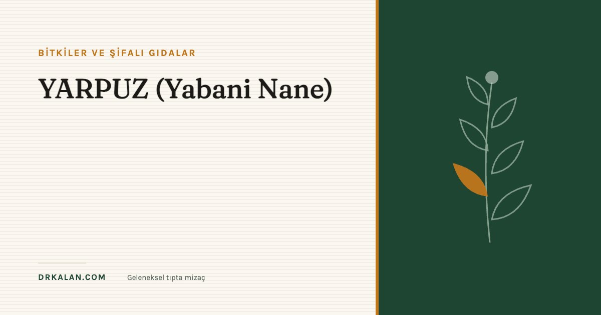 YARPUZ (Yabani Nane)