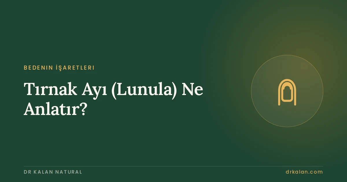 Tırnak Ayı (Lunula) Ne Anlatır?