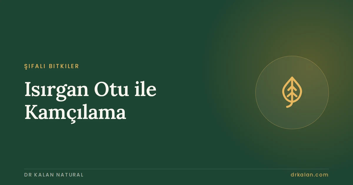 Isırgan Otu ile Kamçılama (Urtication): Bilimsel Bir İnceleme